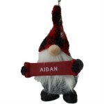 AIDAN