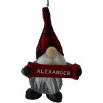 ALEXANDER