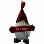 BRAYDEN