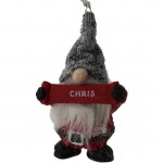 CHRIS