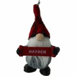 HAYDEN