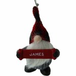 JAMES