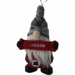 JASON GNOME