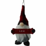 LEVI