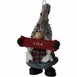 LISA