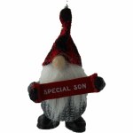 SPECIAL SON