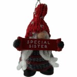 SPECIAL SISTER