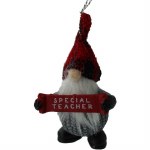 SPECIAL TEACHER