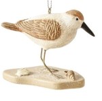 SANDPIPER