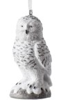 SNOW OWL