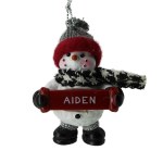 AIDEN