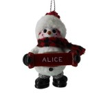 ALICE