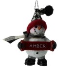 AMBER