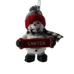CARTER