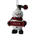 DAVID