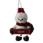 ERIN