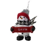 GAVIN