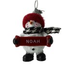 NOAH