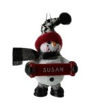 SUSAN
