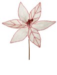 RED & WHITE POINSETTIA