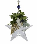 MISTLETOE STAR