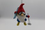 SKIS GNOME