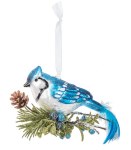 BLUE JAY GLASS