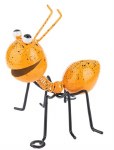 ORANGE ANT