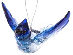 BLUE JAY