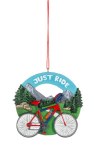 BIKING JUST RIDE