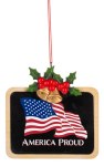 AMERICAN PROUD