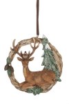 WHITETAIL BUCK LAYING DOWN