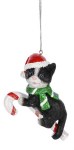 BLACK CAT WITH CANDY CANE