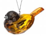 ORIOLE BIRD