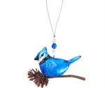CRYSTAL BLUE JAY