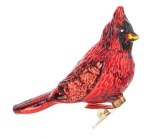 CARDINAL CLIP ON