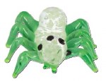 GREEN SPIDER