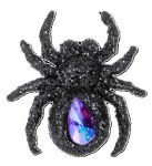 BLACK SPIDER