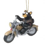 BLACK BEAR ON HARLEY