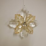 CLEAR POINTSETTIA