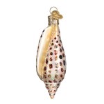 JUNONIA SEASHELL