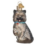 CAIRN TERRIER