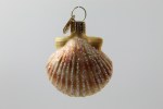 SEASHELL