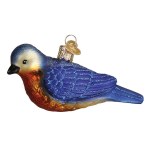 WESTERN BLUEBIRD