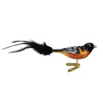 BALTIMORE ORIOLE