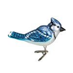 BRIGHT BLUE JAY