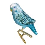 BLUE MINIATURE PARAKEET