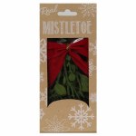 REAL MISTLETOE