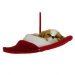 TAN AND WHITE DOG IN SLIPPER