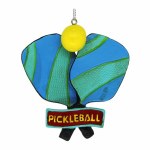 PICKLE BALL RACKET